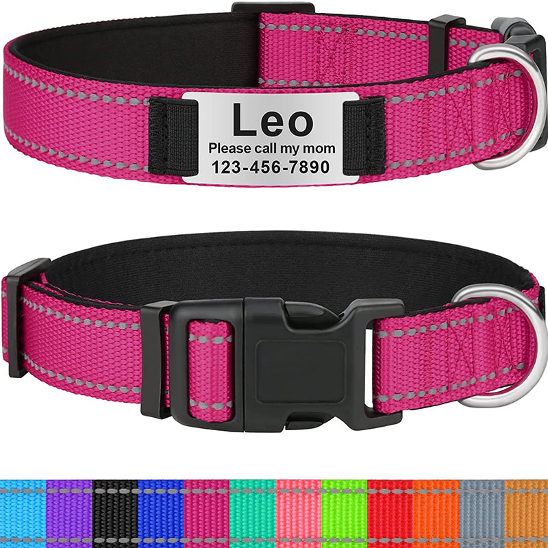 Custom Reflective Dog Collar with Name Plate