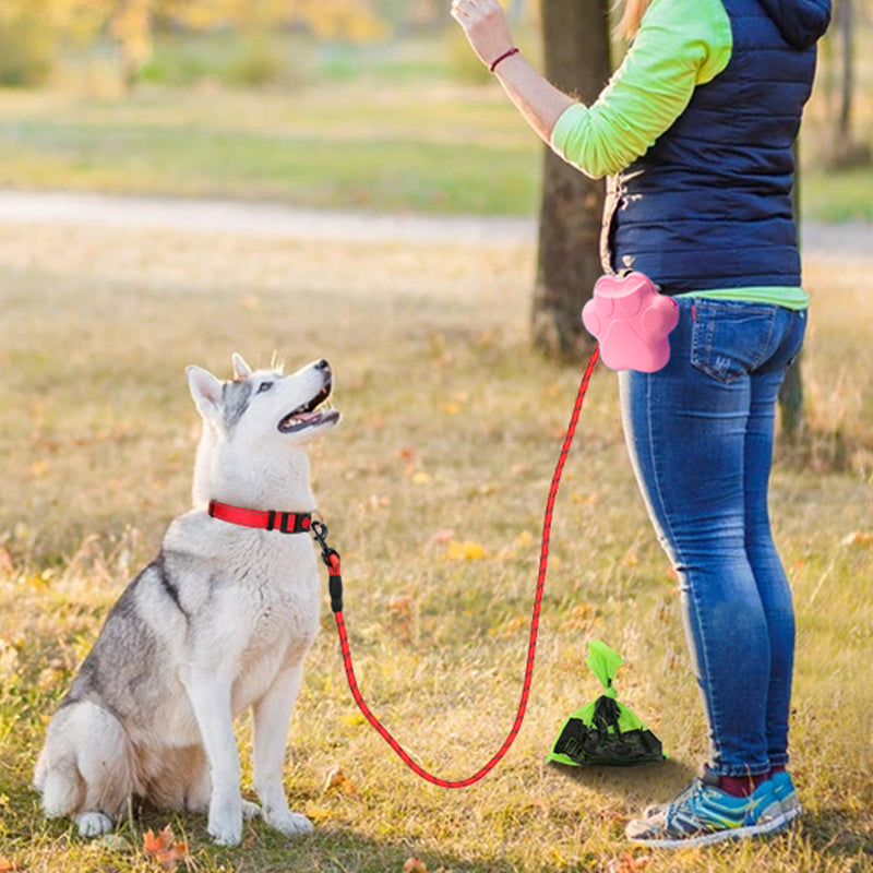 Reflective Dog Leash