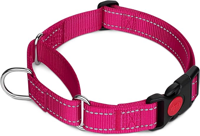 Taglory Martingale Collar for Dogs, Reflective Heavy Duty Dog Collar for Safety, Quick Release Buckle