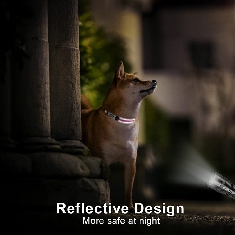 Custom Reflective Dog Collar with Name Plate