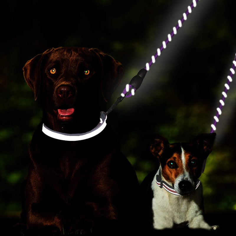 Reflective Double Dog Leash, 360 Swivel No Tangle Walking Double Leash