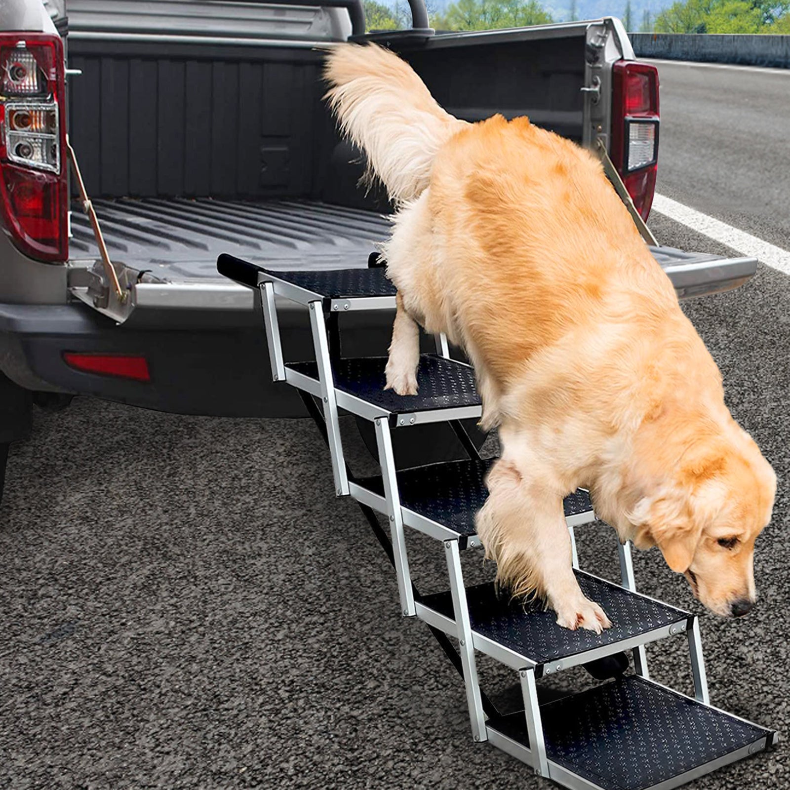 Portable Folding Dog Ramp Ladder With Nonslip