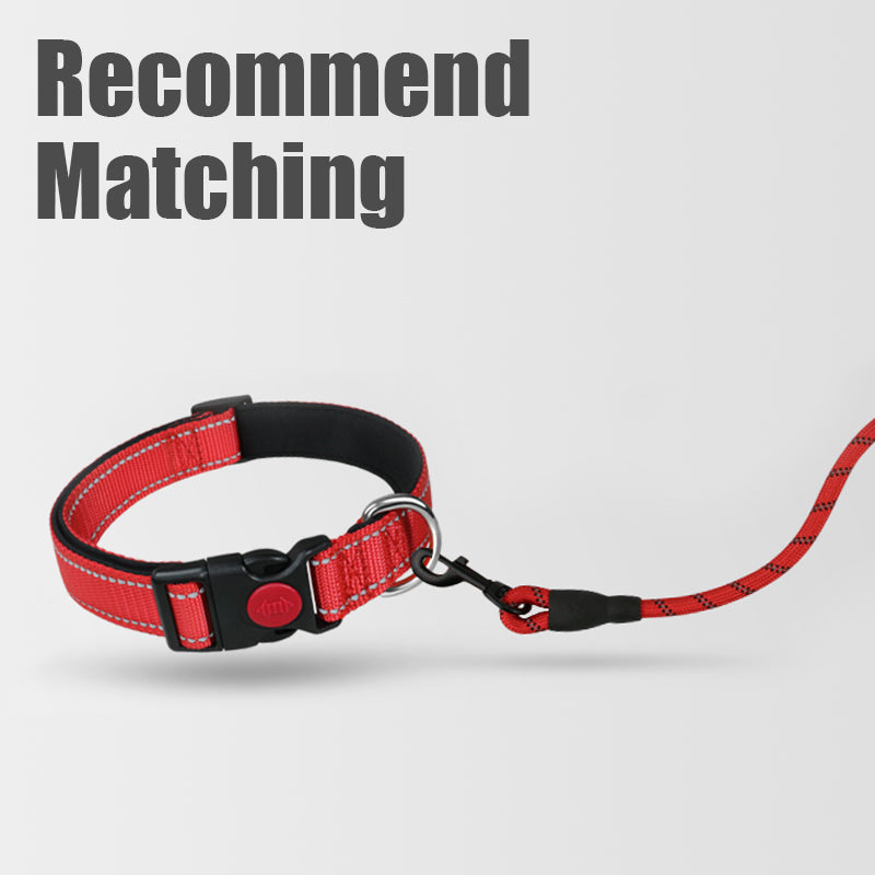 Padded Handle Highly Reflective Threads Dog Leash