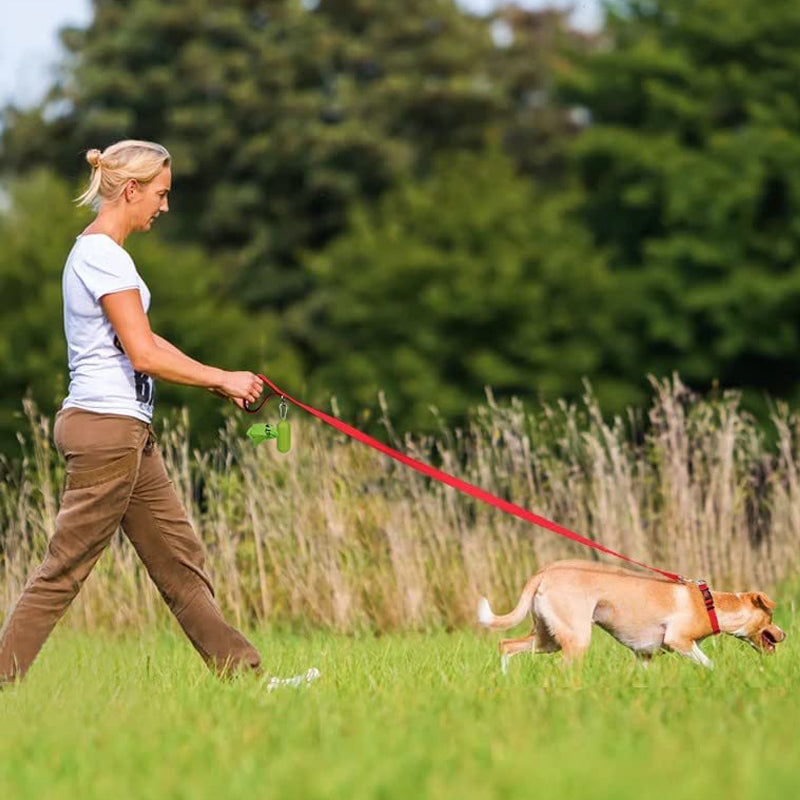 Large dog leash