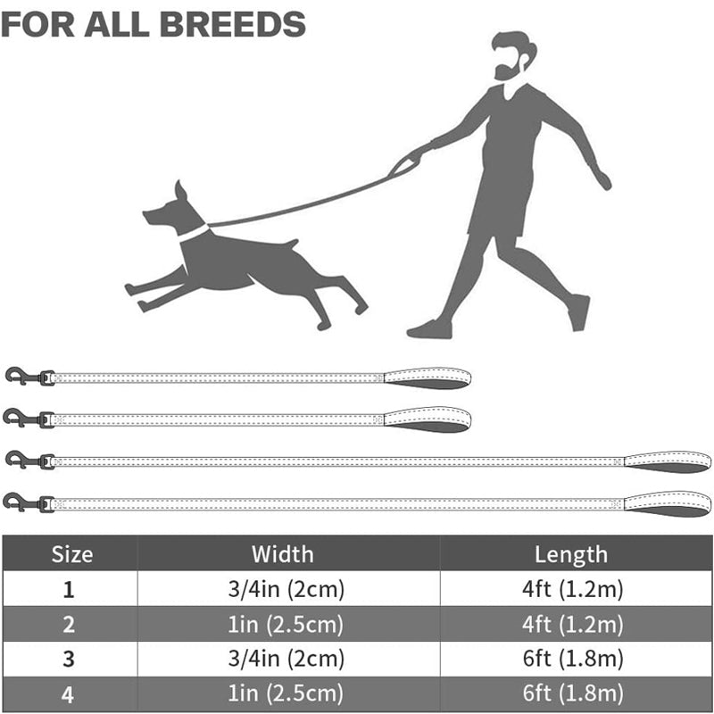 Heavy Duty Dog Leash Size