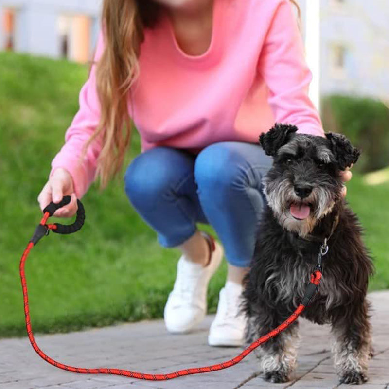 Padded Handle Highly Reflective Threads Dog Leash