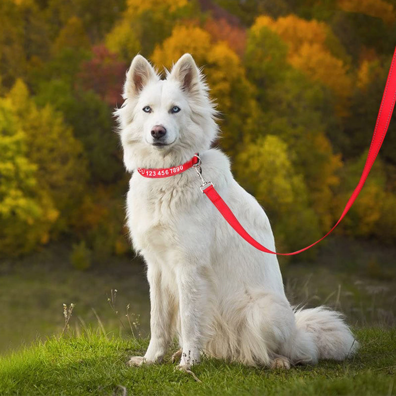 Reflective Heavy Duty Dog Leash