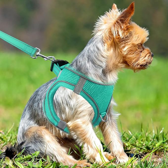 Taglory Dog Mesh Vest Harness