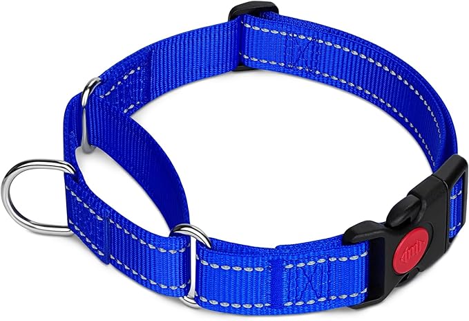 Taglory Martingale Collar for Dogs, Reflective Heavy Duty Dog Collar for Safety, Quick Release Buckle