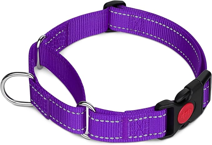 Taglory Martingale Collar for Dogs, Reflective Heavy Duty Dog Collar for Safety, Quick Release Buckle