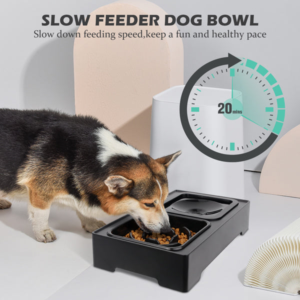 Slow Feeder Dog Bowl