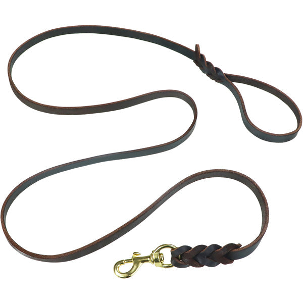 Leather Braided Dog Leash