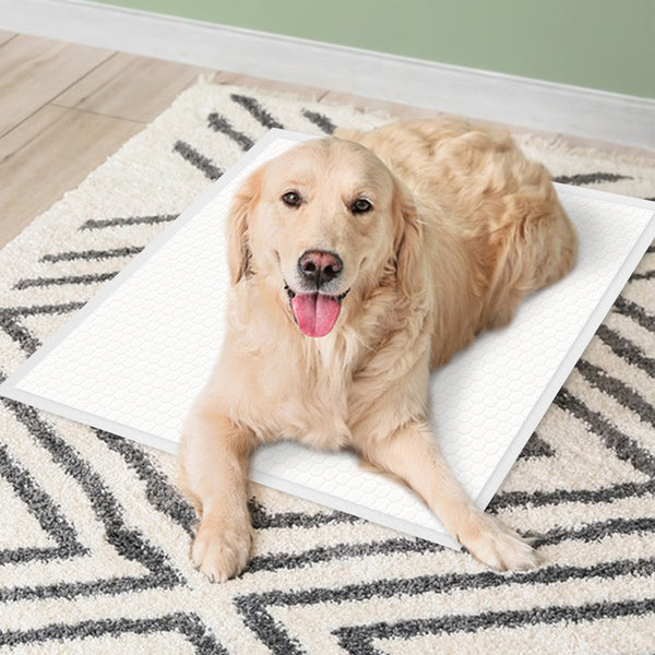 Disposable Pet Piddle Pad