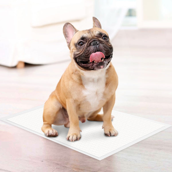 Disposable Pet Piddle Pad