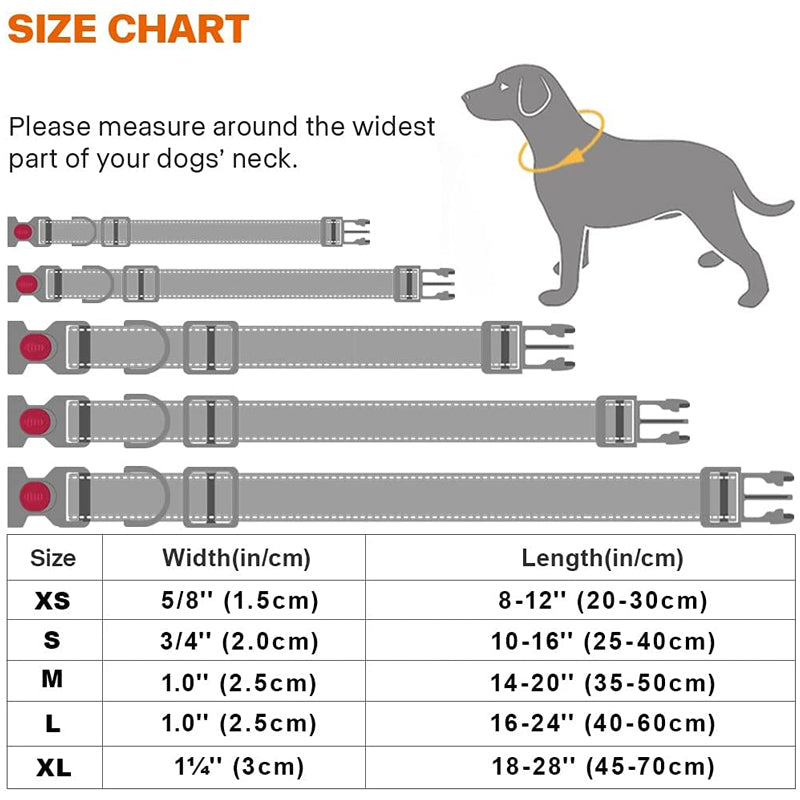 Reflective Dog Collar with Safety Locking Buckle