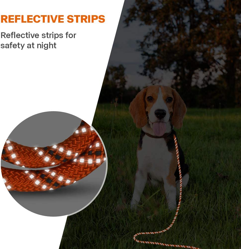 Reflective Nylon Rope Lead for Large Medium Small Dogs Walking, Camping