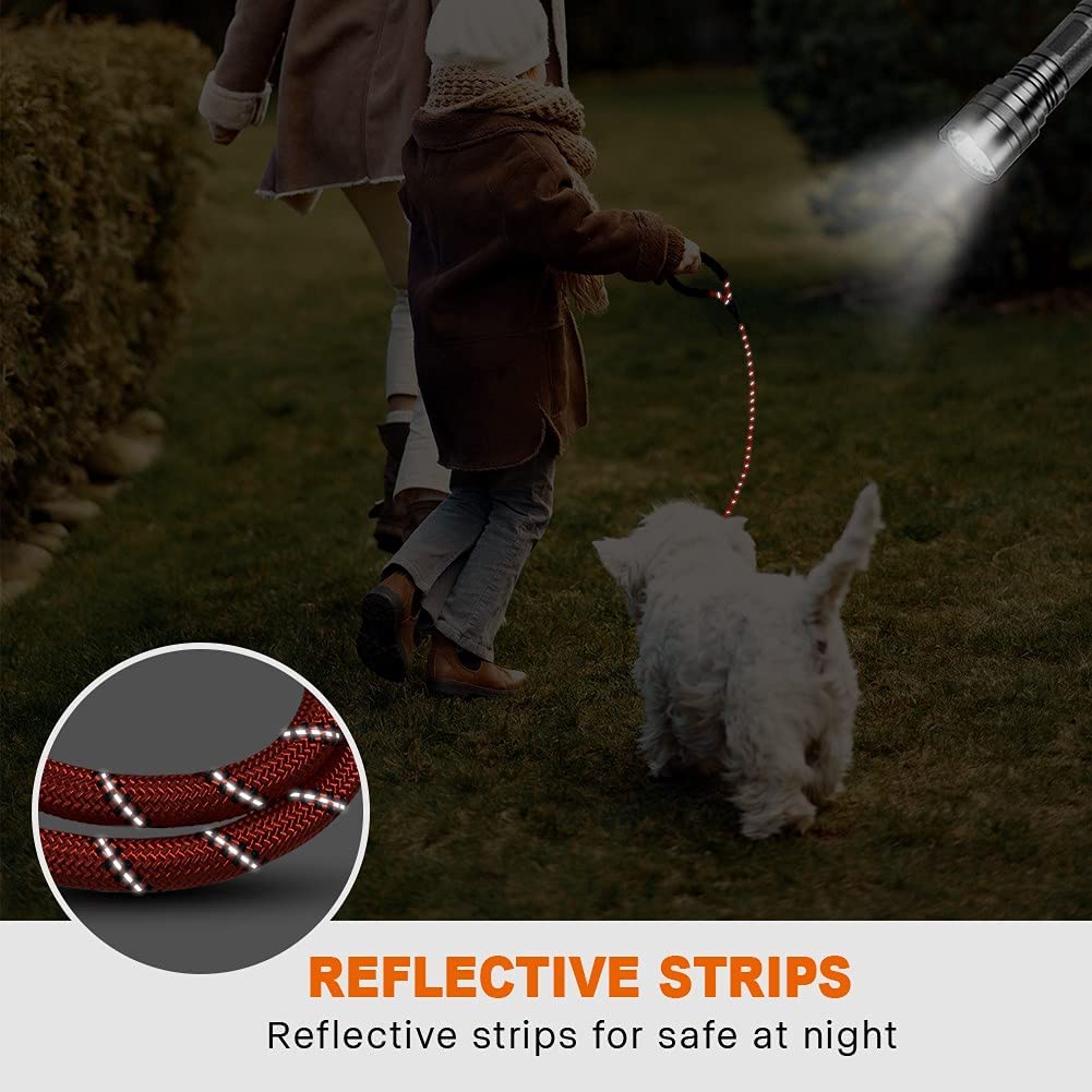 Reflective Dog Leash