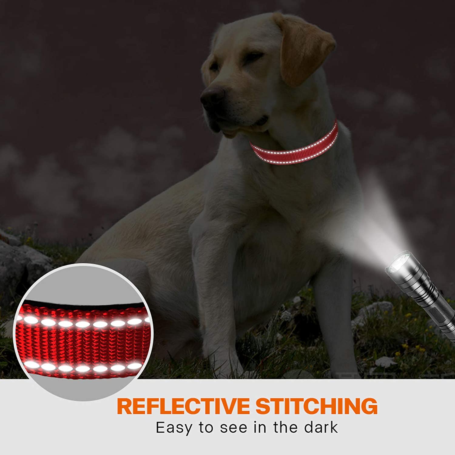 Reflective Dog Collar with Safety Locking Buckle
