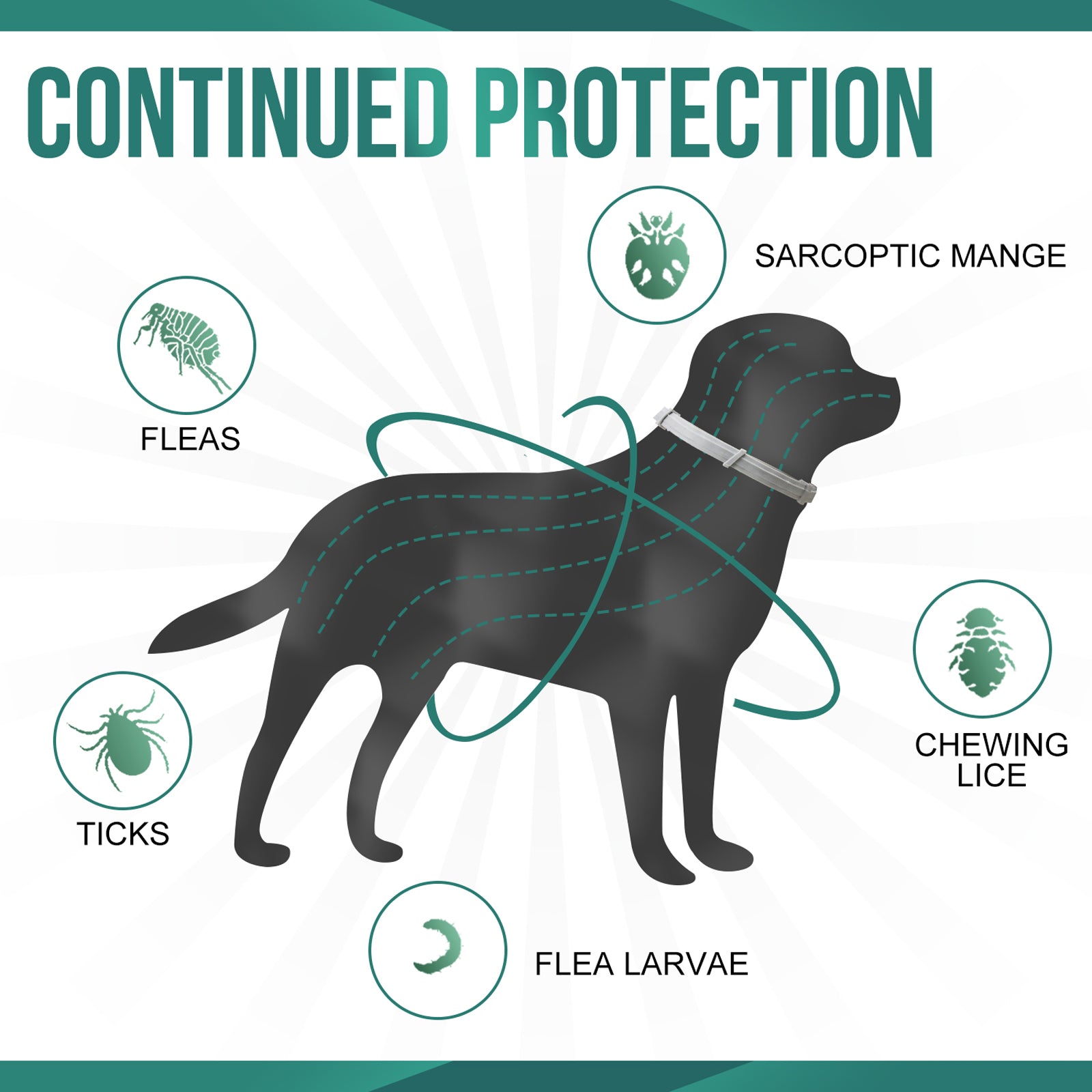 Pawject X flea and tick collar for dogs/cats, Anti Tick Mite Flea Collar For Small & Large Pets