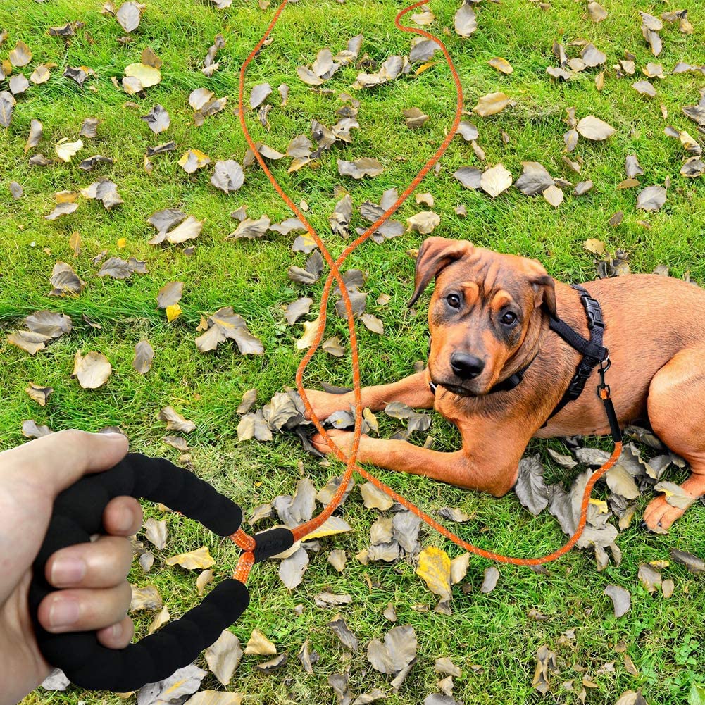Reflective Nylon Rope Lead for Large Medium Small Dogs Walking, Camping