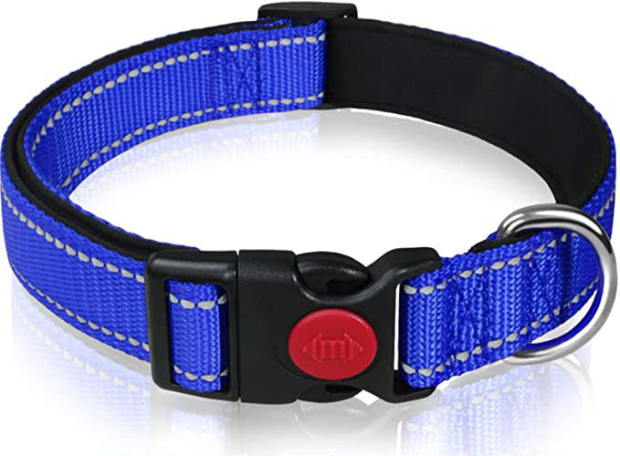 Reflective Dog Collar with Safety Locking Buckle