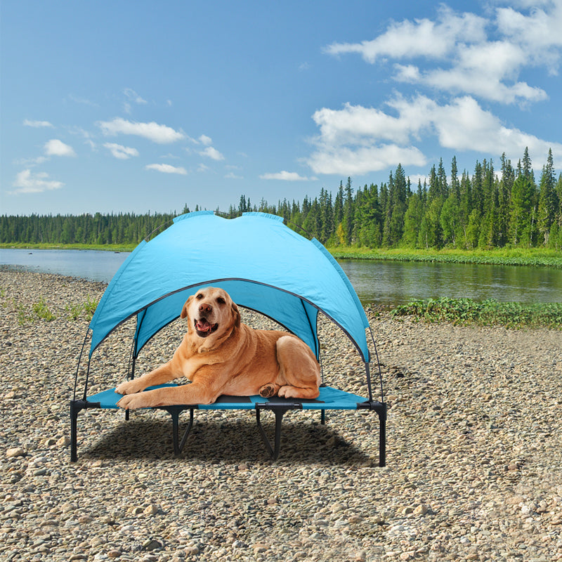 TAGLORY Portable Elevated Dog Bed