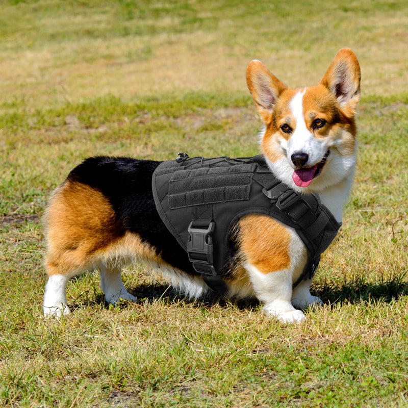Tactical Dog Harness