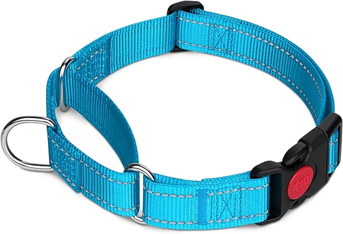 Taglory Martingale Collar for Dogs, Reflective Heavy Duty Dog Collar for Safety, Quick Release Buckle