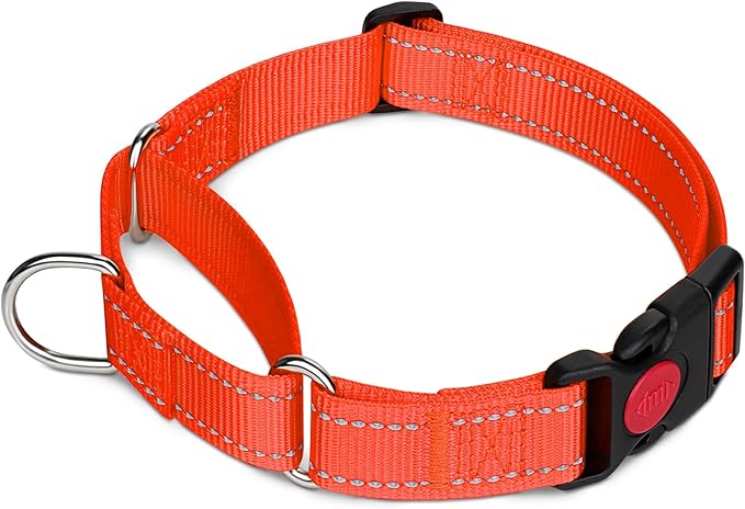 Taglory Martingale Collar for Dogs, Reflective Heavy Duty Dog Collar for Safety, Quick Release Buckle