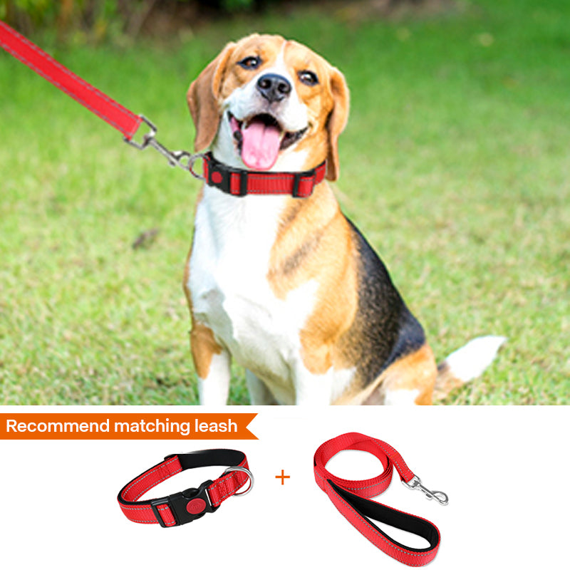 Reflective Dog Collar with Safety Locking Buckle