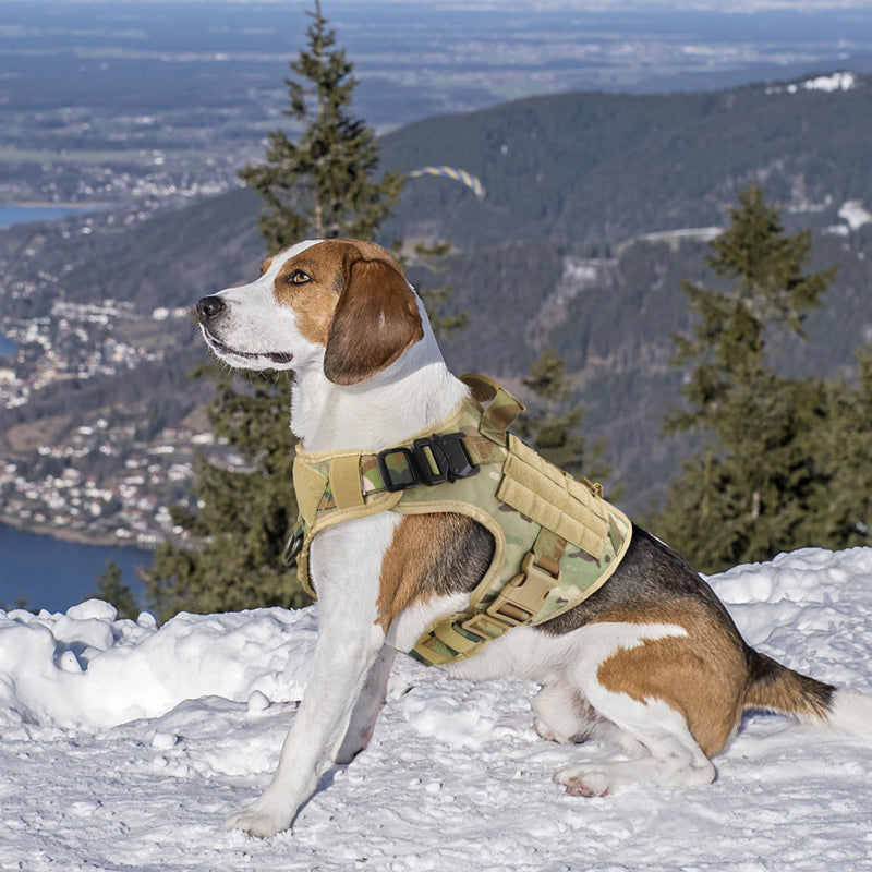 Tactical Dog Harness