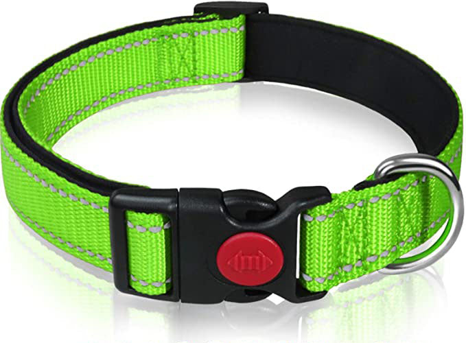 Reflective Dog Collar with Safety Locking Buckle