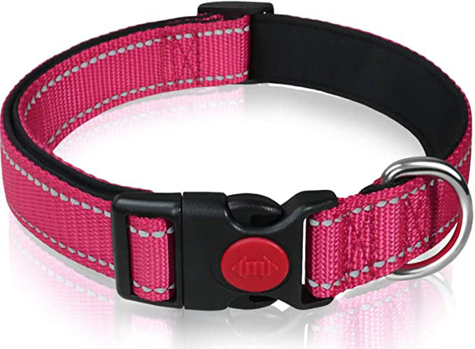 Reflective Dog Collar with Safety Locking Buckle