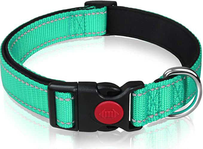 Reflective Dog Collar with Safety Locking Buckle