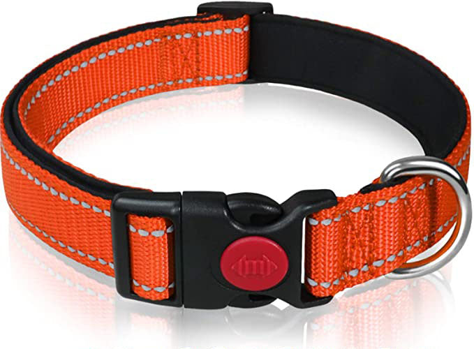 Reflective Dog Collar with Safety Locking Buckle