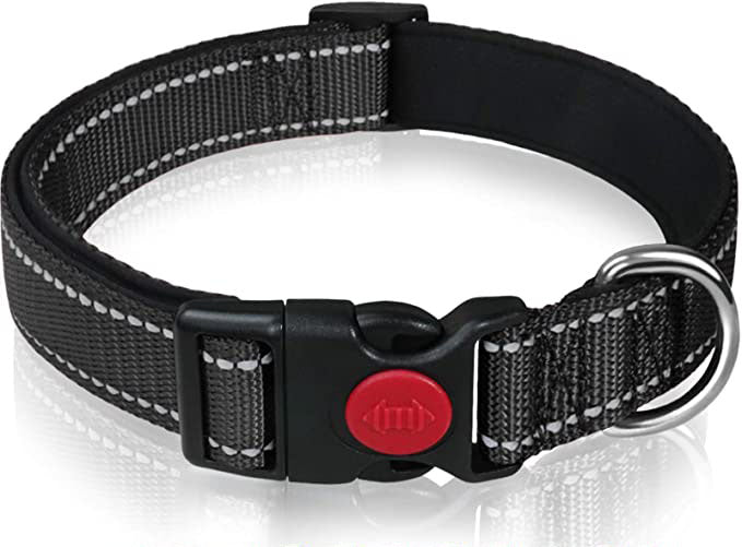 Reflective Dog Collar with Safety Locking Buckle