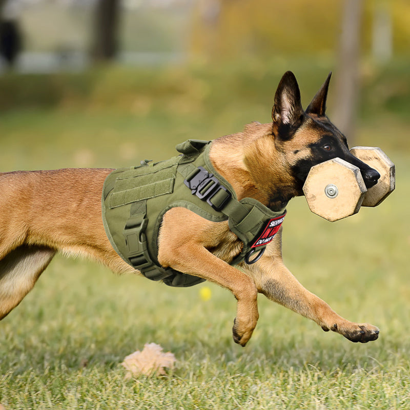 Tactical Dog Harness